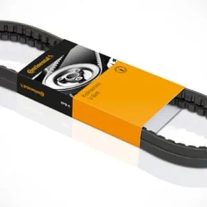 Fan Belt Audi/Vw (PG209) (continental)